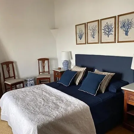 Magnifica Casa Con Una Gran Piscina Y Amplias